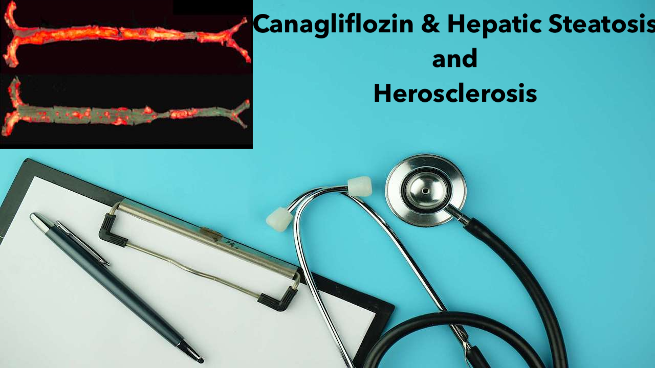 Canagliflozin and Hepatic Steatosis and Herosclerosis