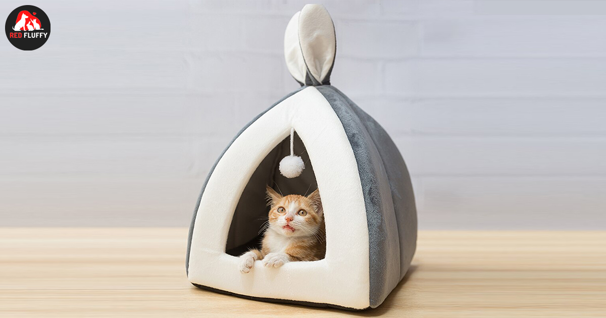 luxury cat beds