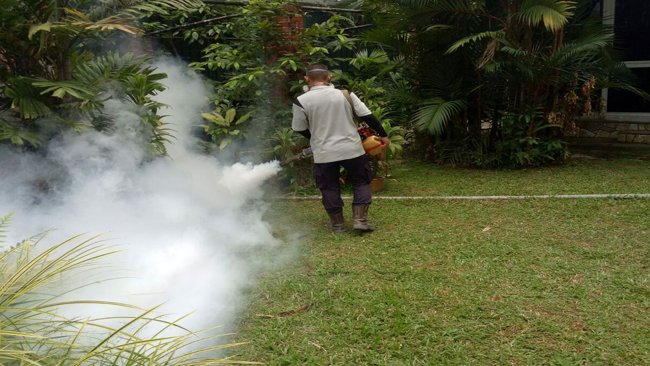 Mosquito pest control in Singapore