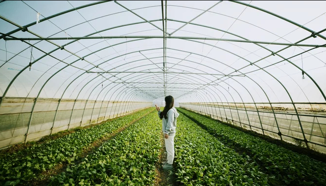 Sustainable Agriculture: Saving the Farmer & Making the Earth "Green" Again