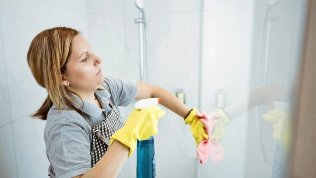 What are the Pros and Cons of Cleaning Shower Glass With Steam Cleaner?