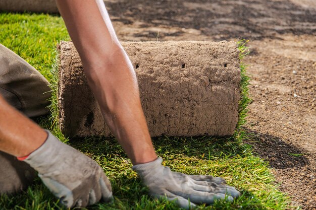 sod installation