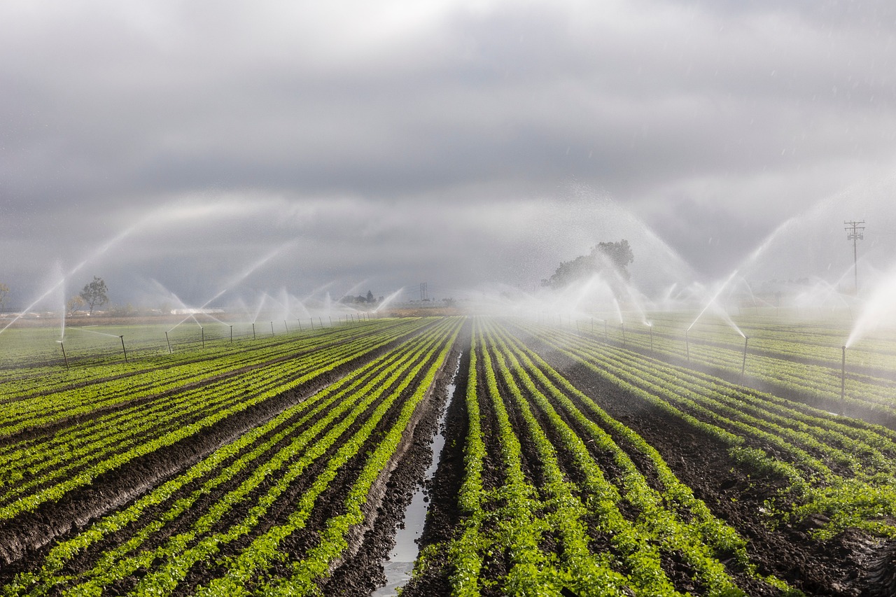 irrigation system maintenance Carmel IN