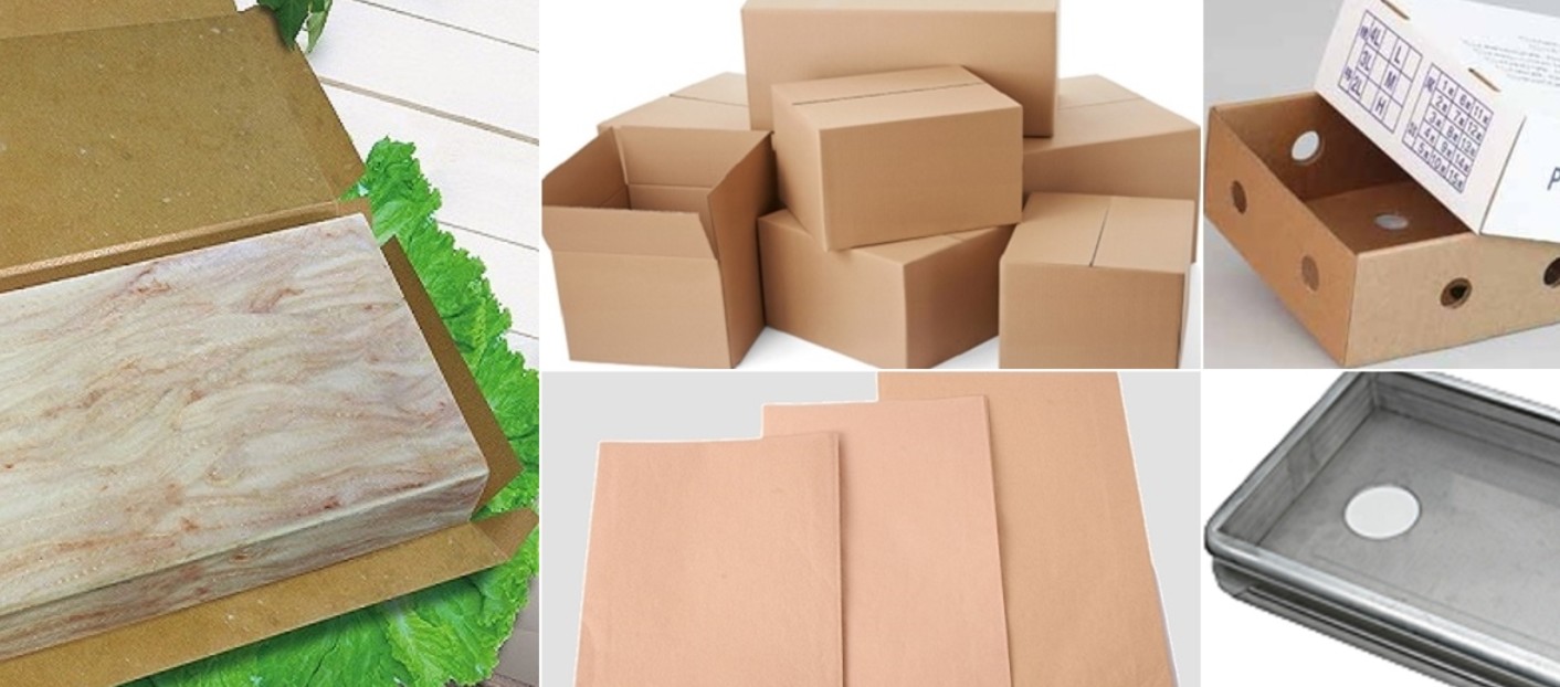 wax seafood boxes