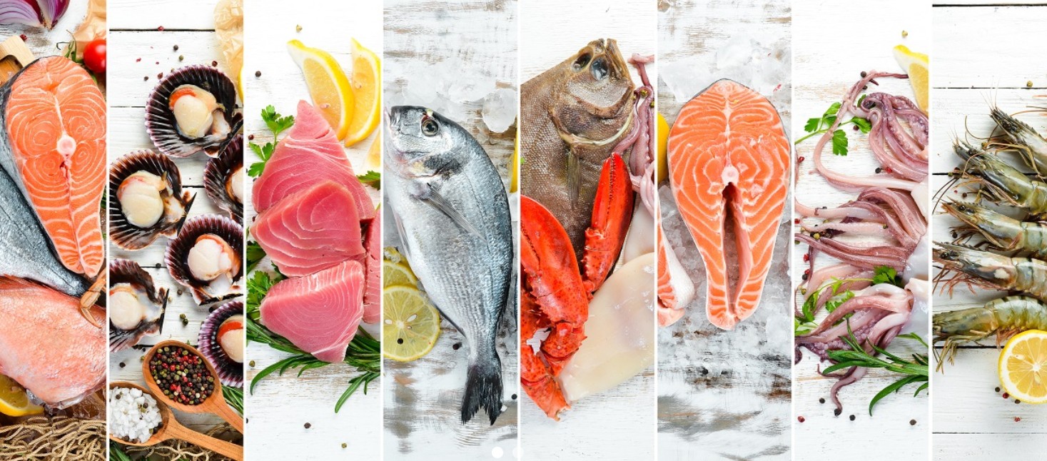 fish packaging materials supplies