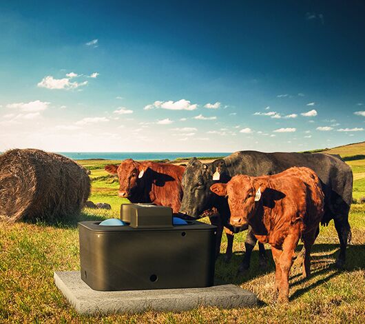energy efficient waterers
