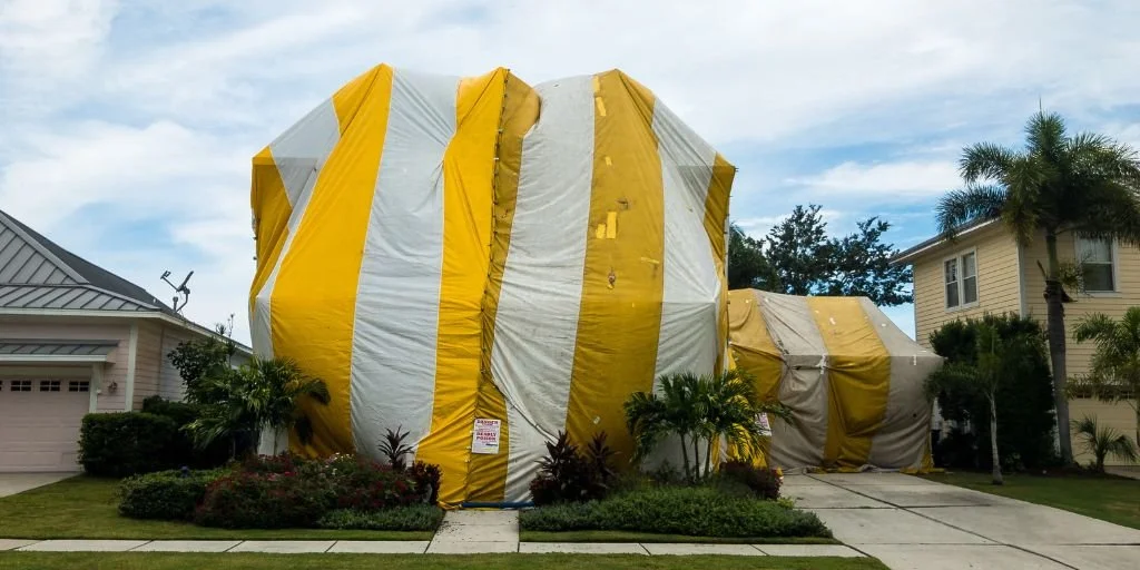 bed bug fumigation Springfield MO