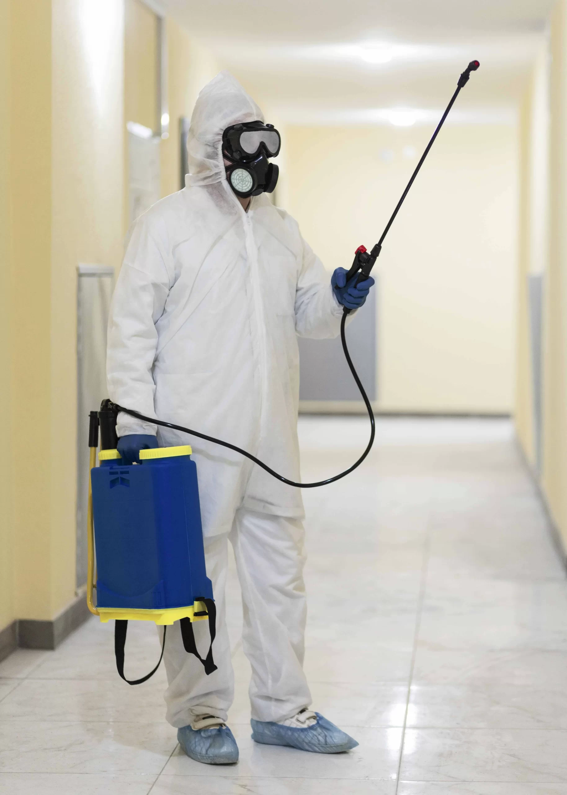 pest removal Colorado Springs