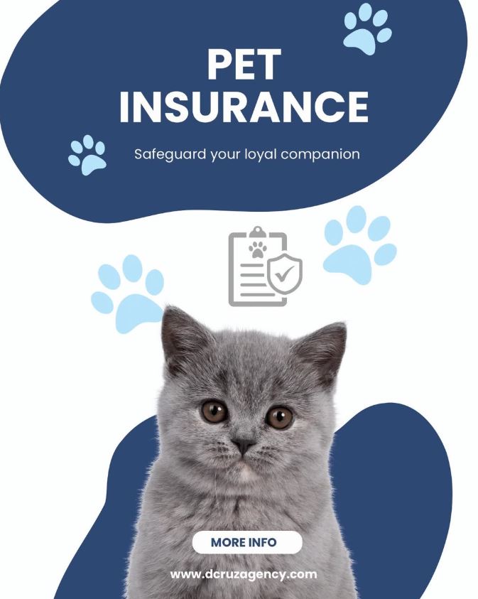 performance bonds danbury ct